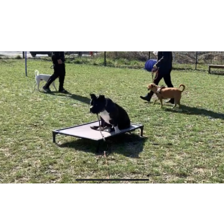 DOG BED LARGE 99 Cm X 69 Cm