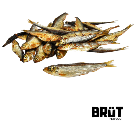 Sprats BRÜT