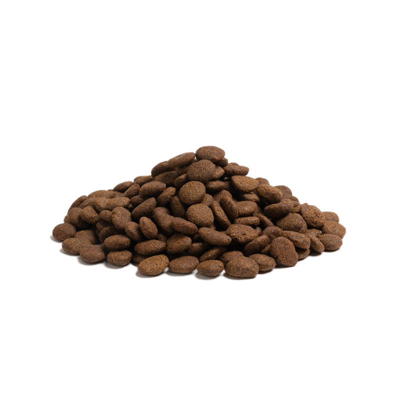 THE BEGINNING LARGE BREED 12KG