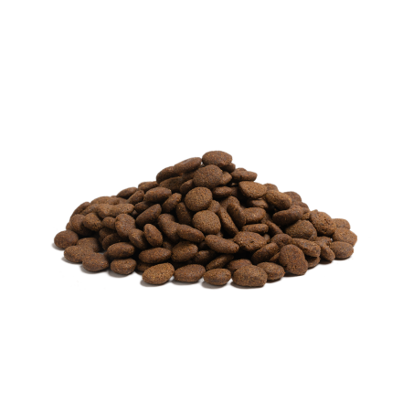 THE BEGINNING LARGE BREED 12KG