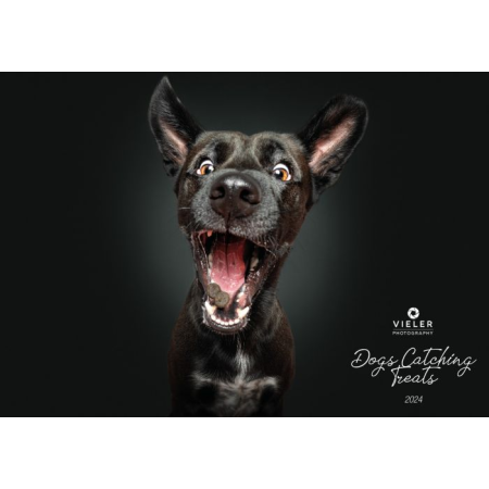 Wall Calendar - Dogs...