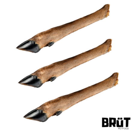 Patte de Chevreuil avec...