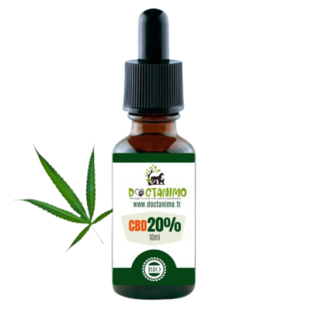 Huile CBD BIO