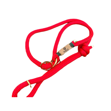 Laisse lassos Ty Bleiz