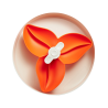 SPIN BOWL FLOWER WHITE ORANGE