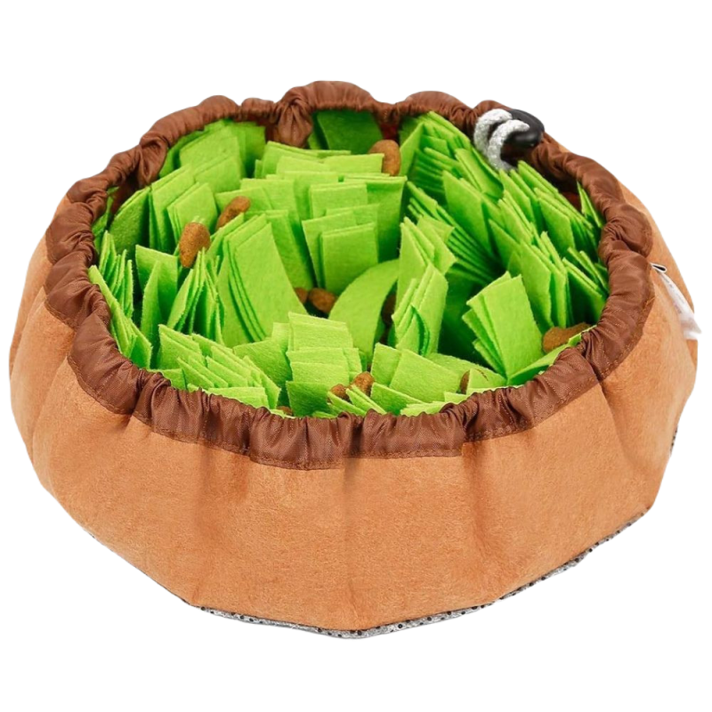 TAPIS DE FOUILLE SLOW FOOD