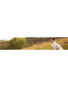 Pâtées Essential Foods