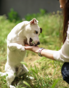 Tartre et hygiène bucco-dentaire