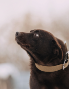 Stress, angoisse ou nervosité