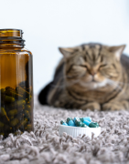 Hygiène intestinale, vers, parasites