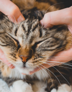 Angoisse, nervosité