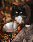 Accessoires et jouets